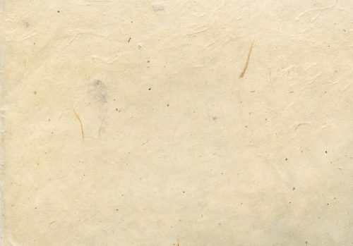 Beżowe spodnie – absolutny must have. Co do beżowych spodni pasuje?
